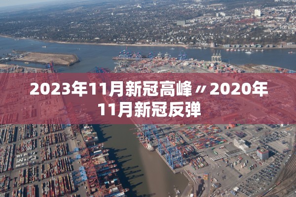 2023年11月新冠高峰〃2020年11月新冠反弹