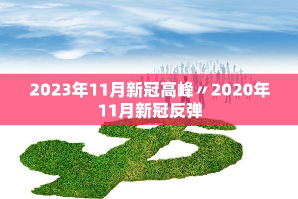 2023年11月新冠高峰〃2020年11月新冠反弹