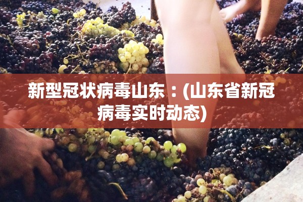 新型冠状病毒山东︰(山东省新冠病毒实时动态) 新型冠状病毒山东︰(山东省新冠病毒实时动态)