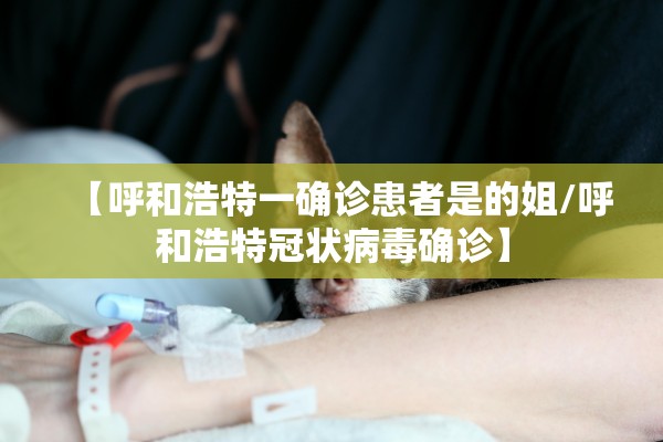 云南新增本土8例,云南 新增 本土