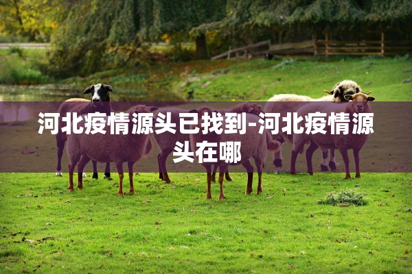 「河北新增本土确诊9例」〃河北新增本土确诊20例