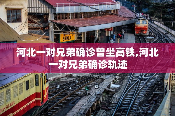 河北一对兄弟确诊曾坐高铁,河北一对兄弟确诊轨迹