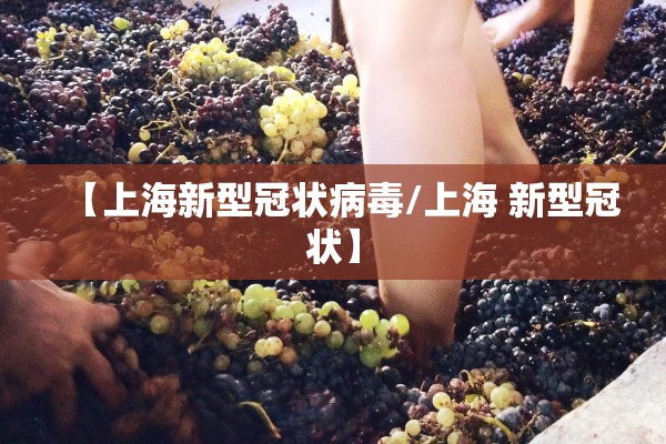 【上海新型冠状病毒/上海 新型冠状】