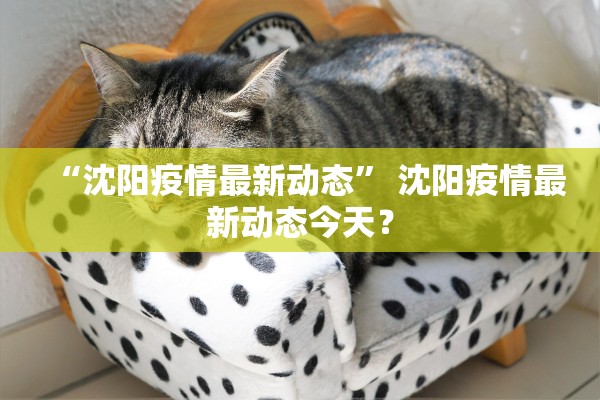 “沈阳疫情最新动态” 沈阳疫情最新动态今天？