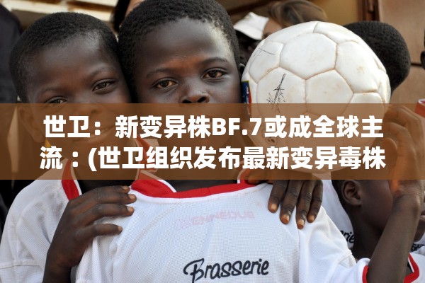 世卫：新变异株BF.7或成全球主流︰(世卫组织发布最新变异毒株)