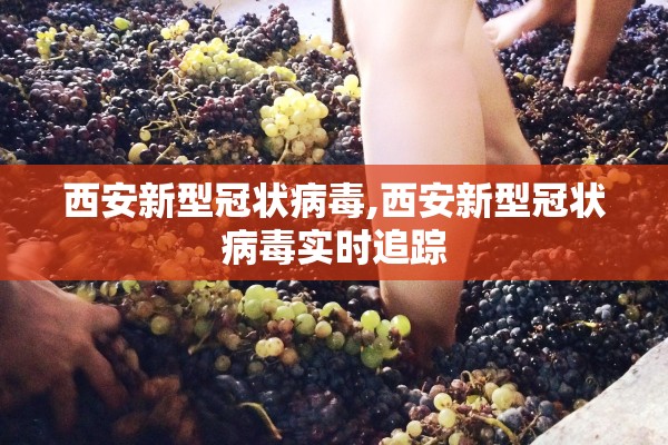 西安新型冠状病毒,西安新型冠状病毒实时追踪