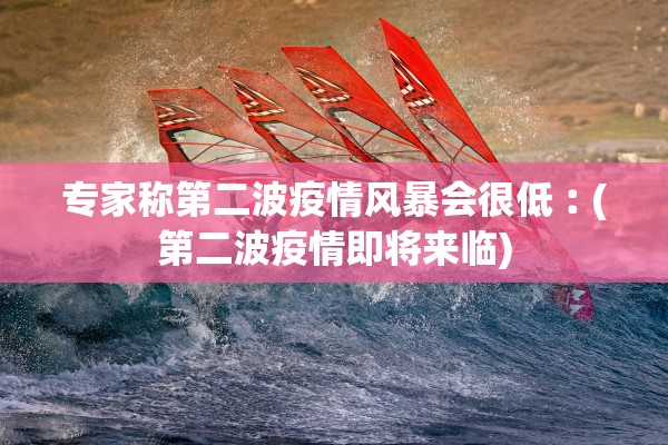 专家称第二波疫情风暴会很低︰(第二波疫情即将来临)