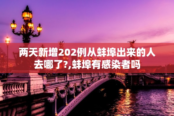 两天新增202例从蚌埠出来的人去哪了?,蚌埠有感染者吗