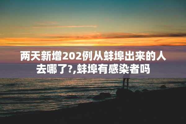 两天新增202例从蚌埠出来的人去哪了?,蚌埠有感染者吗