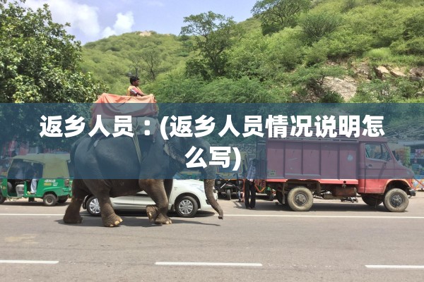 返乡人员︰(返乡人员情况说明怎么写)