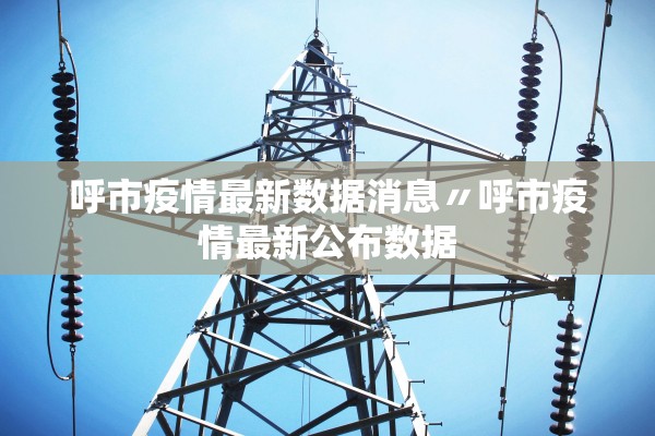 呼市疫情最新数据消息〃呼市疫情最新公布数据