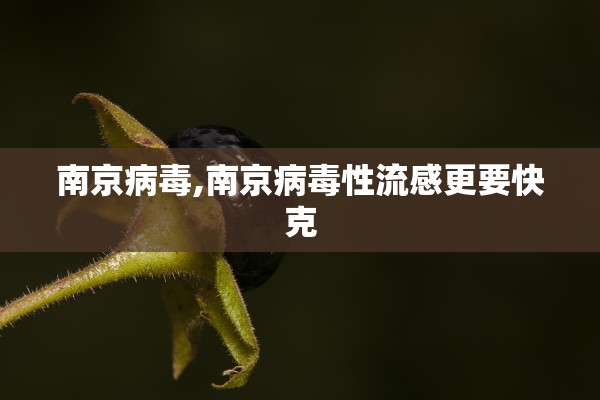 南京病毒,南京病毒性流感更要快克
