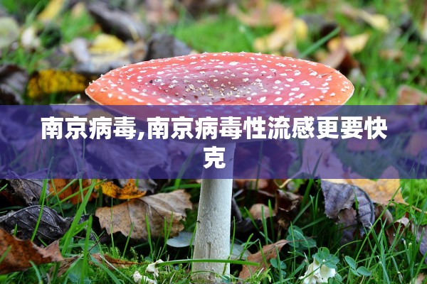 南京病毒,南京病毒性流感更要快克