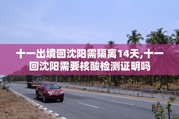 十一出境回沈阳需隔离14天,十一回沈阳需要核酸检测证明吗 十一出境回沈阳需隔离14天,十一回沈阳需要核酸检测证明吗