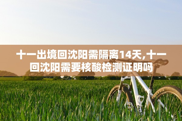 十一出境回沈阳需隔离14天,十一回沈阳需要核酸检测证明吗 十一出境回沈阳需隔离14天,十一回沈阳需要核酸检测证明吗