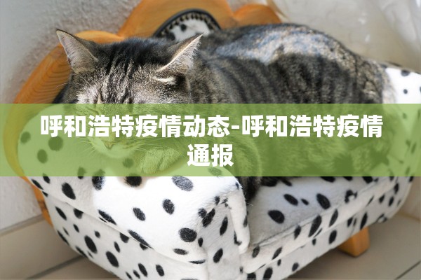 呼和浩特疫情动态-呼和浩特疫情通报