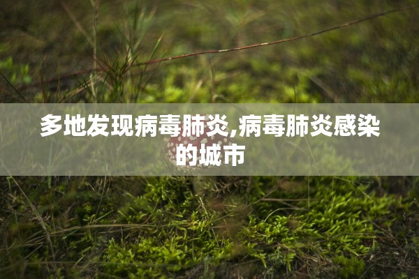 多地发现病毒肺炎,病毒肺炎感染的城市