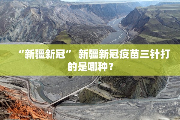 “新疆新冠	” 新疆新冠疫苗三针打的是哪种？