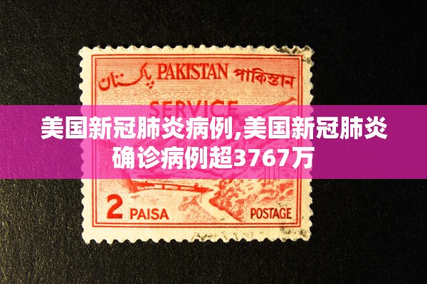 美国新冠肺炎病例,美国新冠肺炎确诊病例超3767万 美国新冠肺炎病例,美国新冠肺炎确诊病例超3767万
