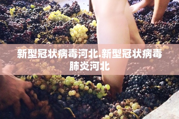 新型冠状病毒河北.新型冠状病毒肺炎河北 新型冠状病毒河北.新型冠状病毒肺炎河北