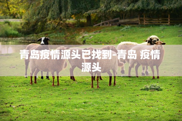 青岛疫情源头已找到-青岛 疫情 源头