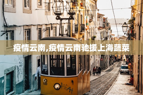 疫情云南,疫情云南驰援上海蔬菜