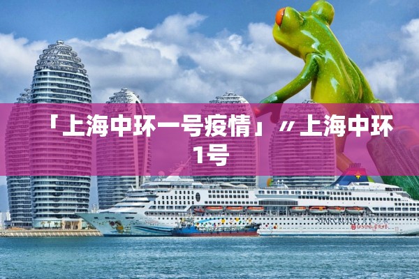 「上海中环一号疫情」〃上海中环1号