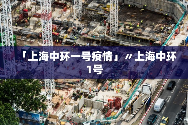 「上海中环一号疫情」〃上海中环1号