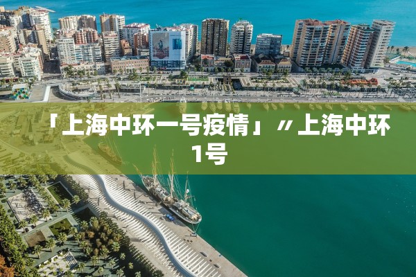 「上海中环一号疫情」〃上海中环1号