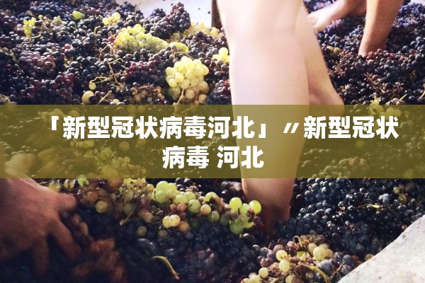 「新型冠状病毒河北」〃新型冠状病毒 河北 「新型冠状病毒河北」〃新型冠状病毒 河北