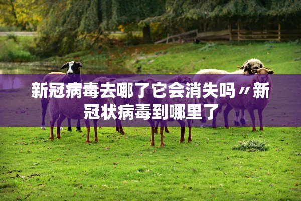 新冠病毒去哪了它会消失吗〃新冠状病毒到哪里了