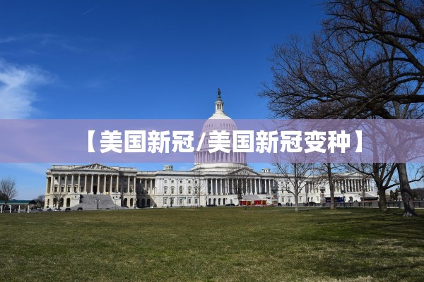 【美国新冠/美国新冠变种】 【美国新冠/美国新冠变种】