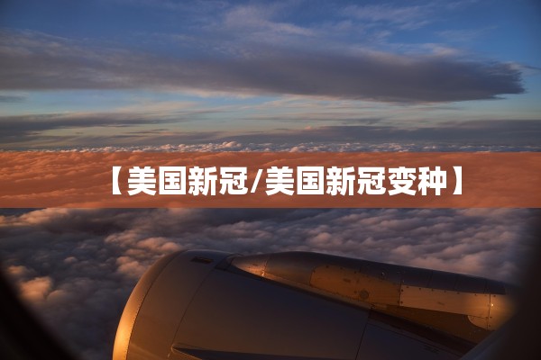 【美国新冠/美国新冠变种】 【美国新冠/美国新冠变种】