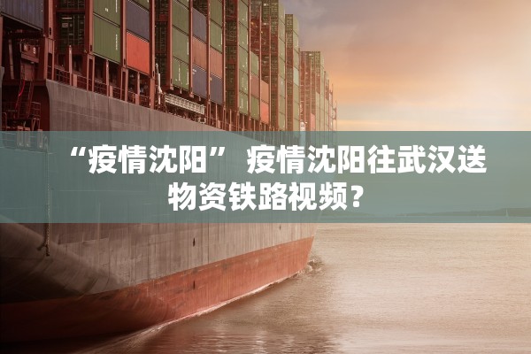 “疫情沈阳	” 疫情沈阳往武汉送物资铁路视频？