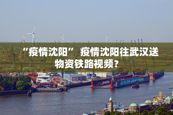 “疫情沈阳” 疫情沈阳往武汉送物资铁路视频？