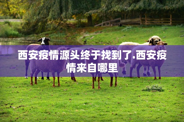 西安疫情源头终于找到了.西安疫情来自哪里