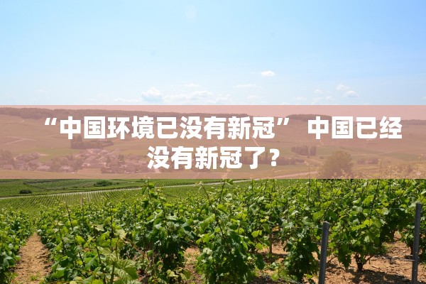 “中国环境已没有新冠	” 中国已经没有新冠了？