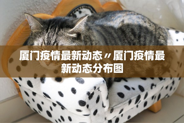 厦门疫情最新动态〃厦门疫情最新动态分布图 厦门疫情最新动态〃厦门疫情最新动态分布图