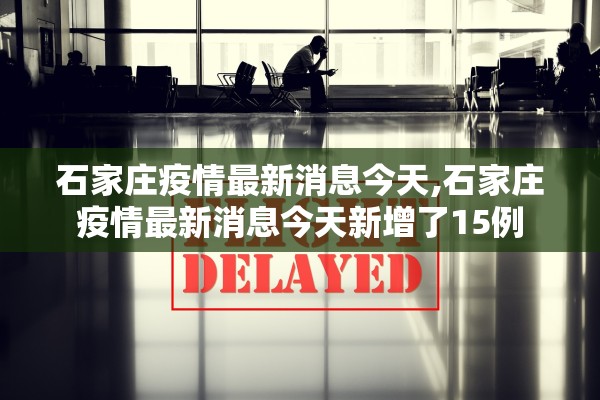 石家庄疫情最新消息今天,石家庄疫情最新消息今天新增了15例