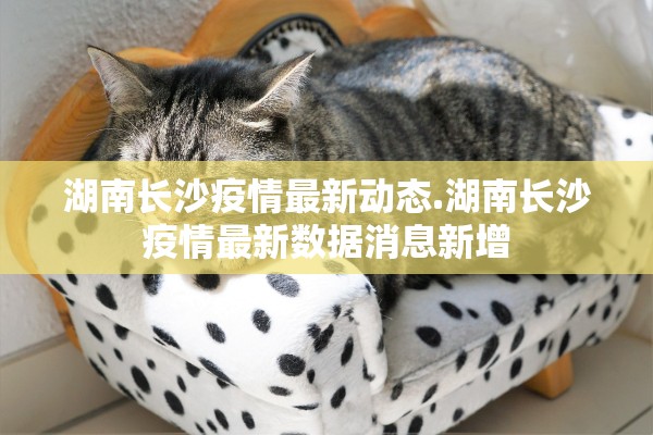湖南长沙疫情最新动态.湖南长沙疫情最新数据消息新增