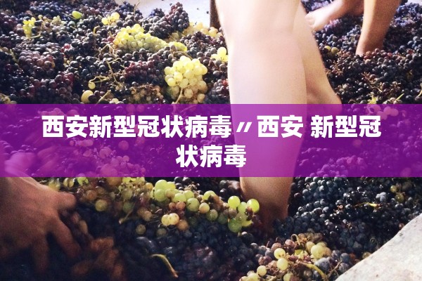 西安新型冠状病毒〃西安 新型冠状病毒