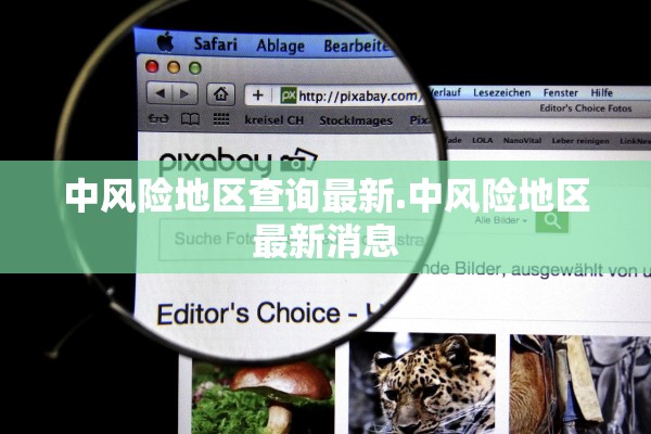 中风险地区查询最新.中风险地区最新消息