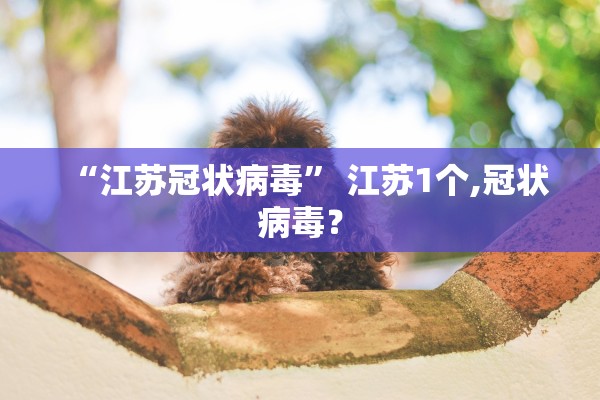 “江苏冠状病毒” 江苏1个,冠状病毒？
