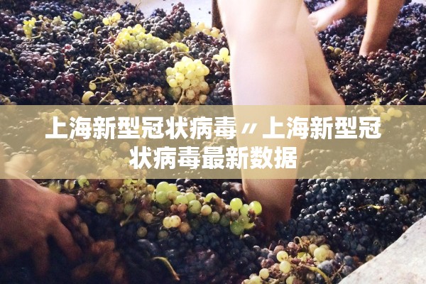 上海新型冠状病毒〃上海新型冠状病毒最新数据