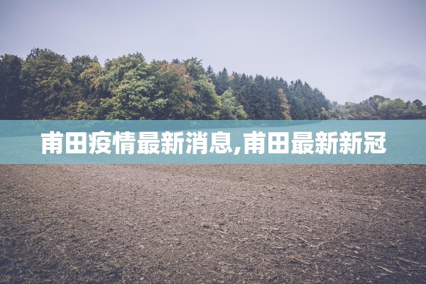 甫田疫情最新消息,甫田最新新冠