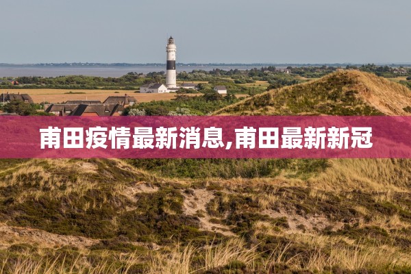 甫田疫情最新消息,甫田最新新冠