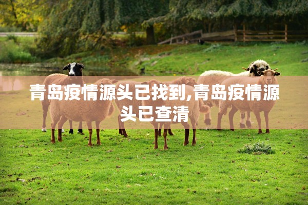 青岛疫情源头已找到,青岛疫情源头已查清