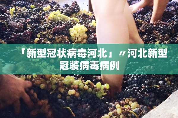 「新型冠状病毒河北」〃河北新型冠装病毒病例