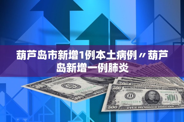 葫芦岛市新增1例本土病例〃葫芦岛新增一例肺炎