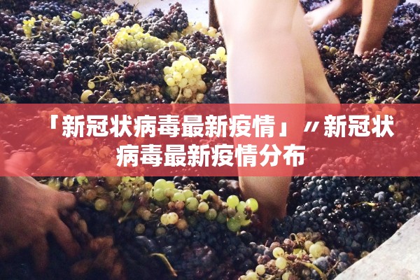 「新冠状病毒最新疫情」〃新冠状病毒最新疫情分布